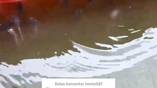 Solusi untuk penyakit MONCONG PUTIH dan KUMIS KERITING pada ikan lele
