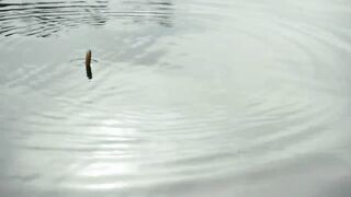 The Lake Monster Attacks Tourists | Grimm