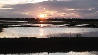 আকাশের প্রাকৃতিক সৌন্দর্য