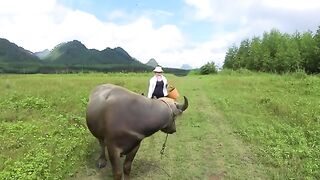 The Divine Cow by the Reservoir Guides Me to Immense Wealth