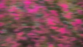 Nice background video