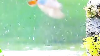 ভিডিও টি না দেখে কেও যাবেন না।