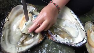 It's Truly Magical: The Pearl Clam Protected by the Golden Snail Harbors a Huge Treasure