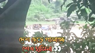 Seikh hasina palanor video