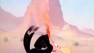 Bast funny Video
