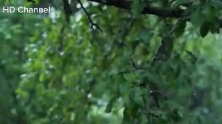 Part 1 || Relaxing Piano Music & Rain Sound