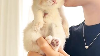 cute little cat with its soft voice