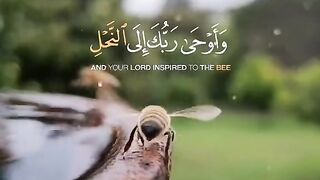 Sourate ennahle
