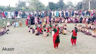Educative display by the students