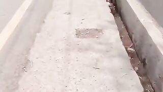 After watching this video, a bad prayer comes out of my heart that whoever has done this to my country may destroy his generations.