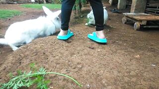 Cute Animals ❤️ -- Bunny???? Playing with Adorable Cute Rabbit in the garden.