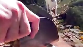 الطبخ المشهي