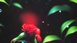 Funny amazing flower danc