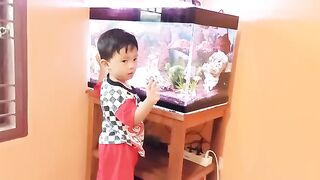 ikan hias