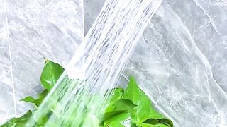 Water spinklers