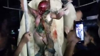 ঝিনাইদহ আওয়ামী লীগ চেয়ারম্যান। আগুন দিয়ে পুড়িয়ে ফেলছে