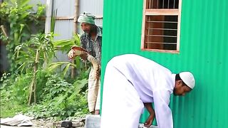 Fake King Cobra Snake Prank Part 11