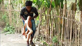 Fake Big Cobra Snake VS Sleeping Grandpa