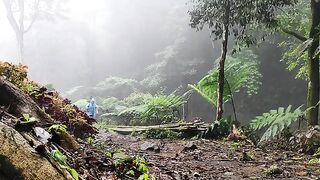 solo camping on the edge of a clear river