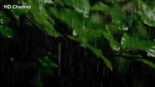 Part 2 || Rain Sounds for sleeping