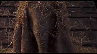 DUMBO Baby Mine by Arcade Fire Trailer (2019).