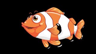 fish01