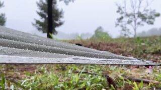 SOLO CAMPING - CAMPING WITH THUNDERSTORM OVERNIGHT - ASMR - SMALL TENT IN FOREST