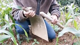 funny farmer man????