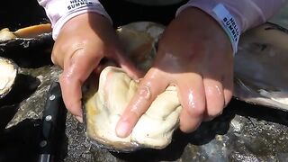 Each Pearl from the Waterfall Clams is an Unparalleled Treasure
