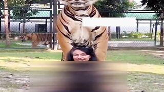বাঘের সাথে সেলফি তোলে।#শিক্ষারপথ  #shortvideo