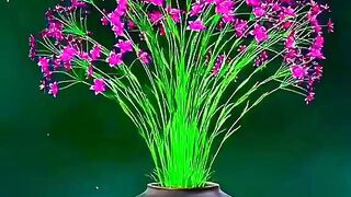 Beautiful nature video ♥️♥️