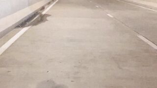 Bike on elevated expressway dhaka