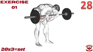 Biceps Workout - Dumbbell Bicep Workout - Arm Workout  Biceps