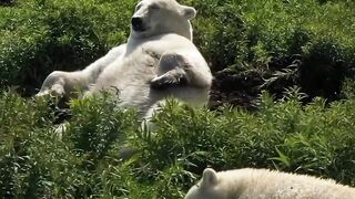 Amazing World and Travel Canada