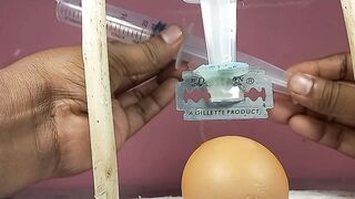 Hydraulicmachine Egg Experiment #Experiment # science