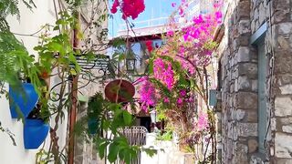 Amazing World and Travel Turkey