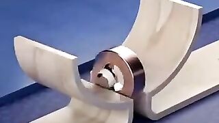 Momentum kehidupan
