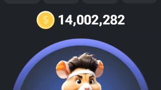 Hamster Kombats Mini Game Puzzle solved