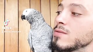 Un Oiseau pas comme les autres