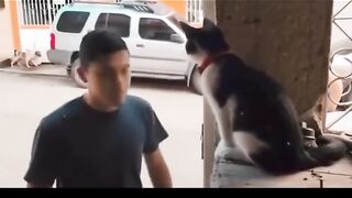 Cat Bless All the Students for those who has the XM