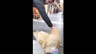 Si tu rigoles 1,5 fois,