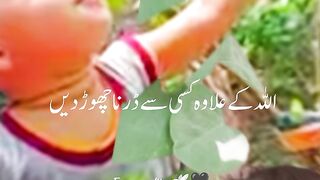 Videos 46