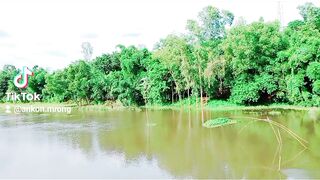 Nice view 14