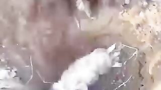 ماں، ماں ھوتی ھے،