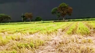 বৃষ্টি আসার আগ মূহুর্তে আকাশ টা খুব সুন্দর লাগে