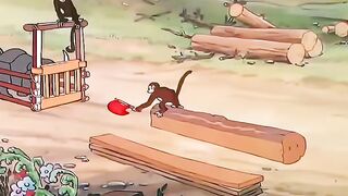Best Funny Short video 2024