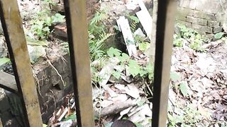 ছোট বাচ্চাটার চুরি করার দক্ষতা দেখুন