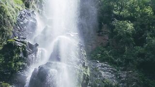 Fountain in the forest