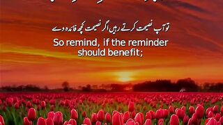 কুরআন তিলাওয়াত quran tilawat
