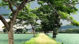 Sweet view